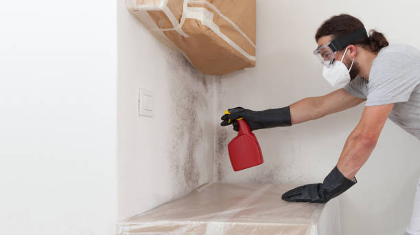 Professional Mold Remediation technician working in Harrison, NY
