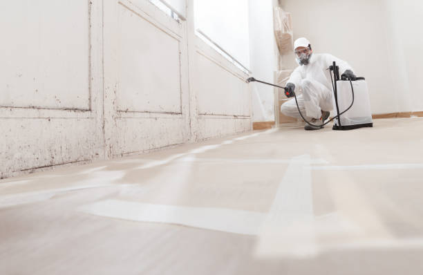 24/7 Emergency Mold Remediation experts in Harrison, NY