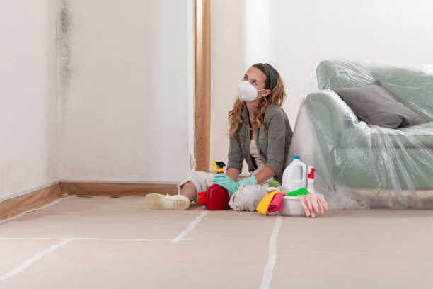 Reliable Mold Remediation contractor in Harrison, NY by 24 Hour Mold Removal